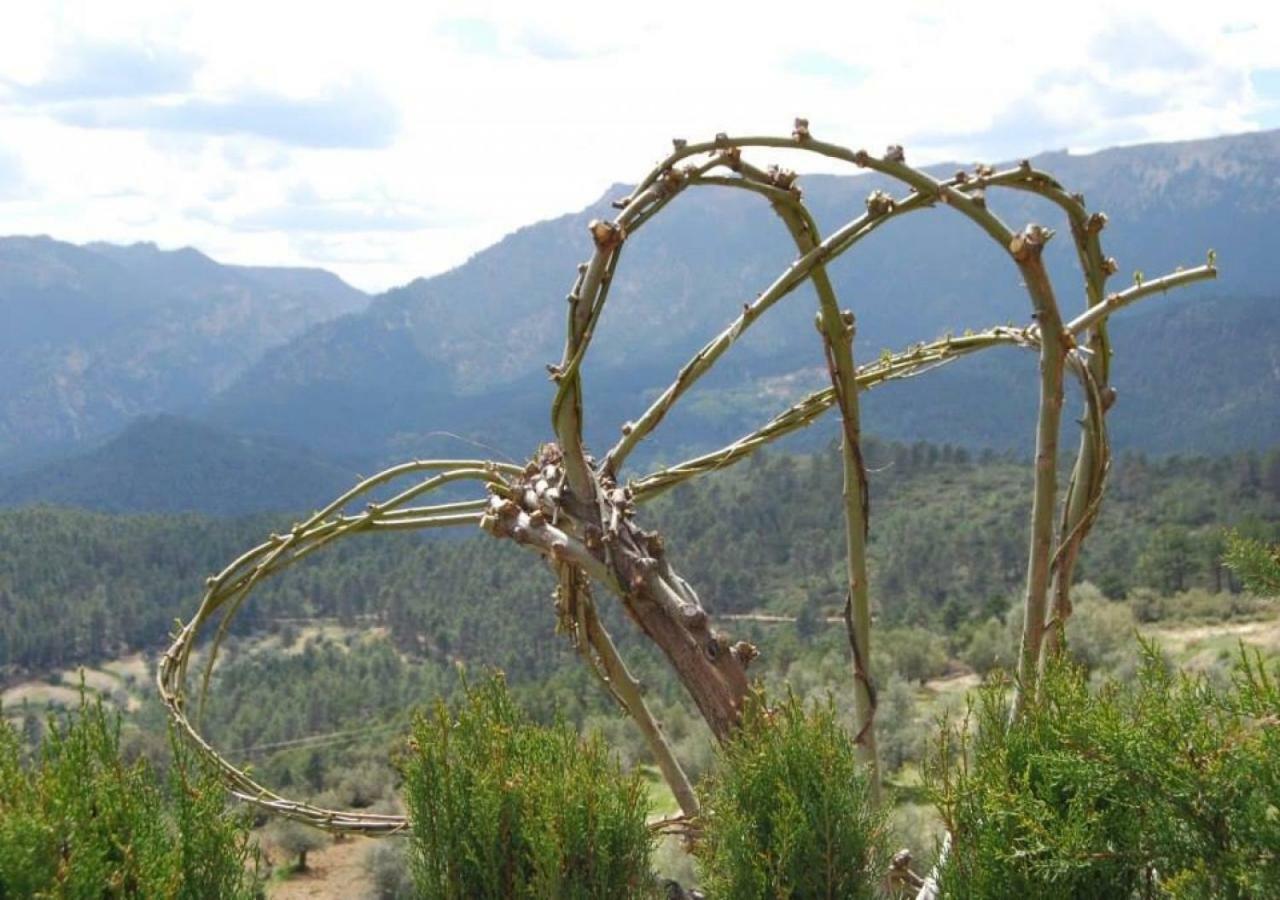 Casas Rurales Mirador Del Mundo Yeste Exteriér fotografie