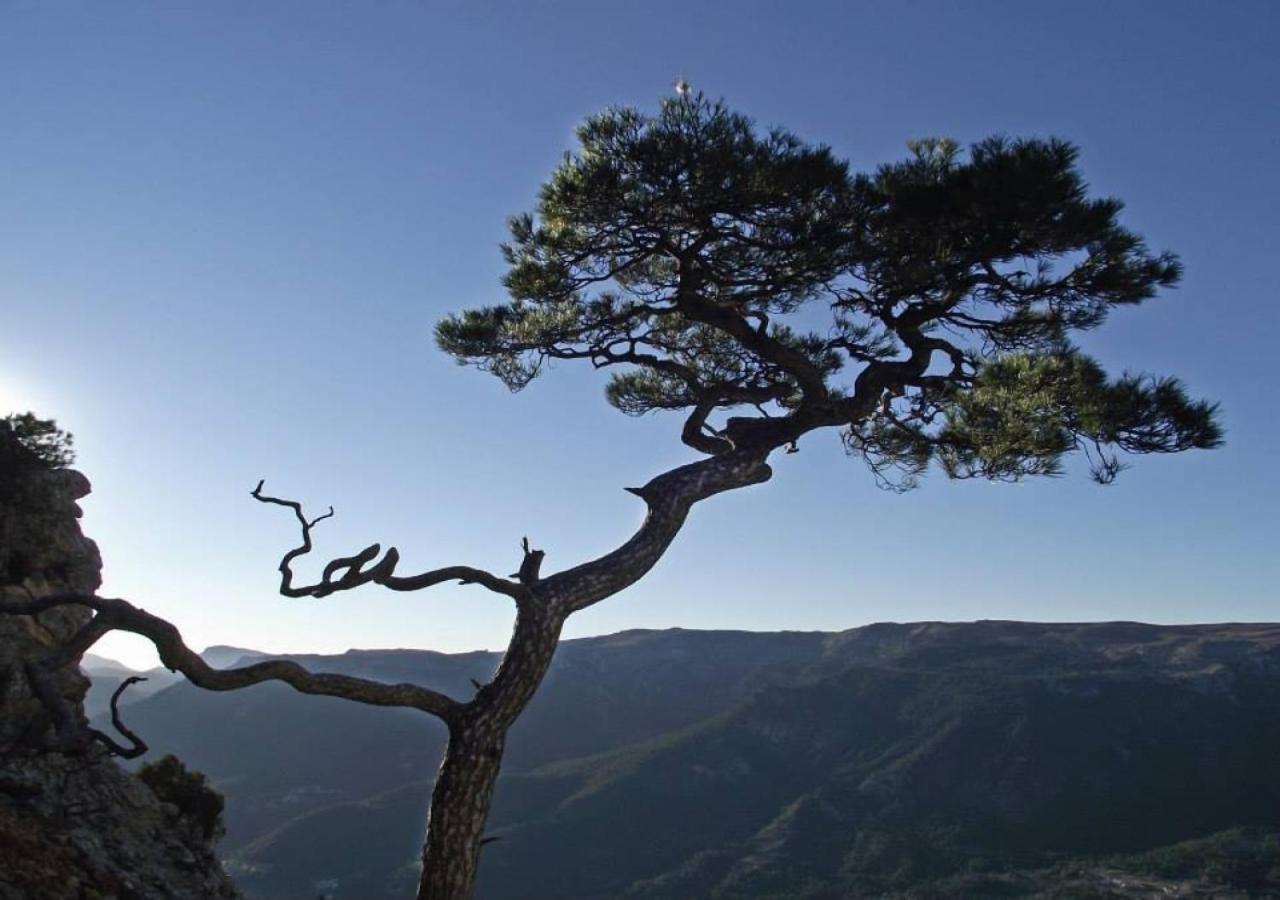 Casas Rurales Mirador Del Mundo Yeste Exteriér fotografie